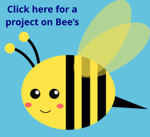 Click here for a project on Bees